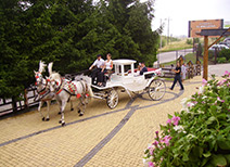 karczma słoneczna
